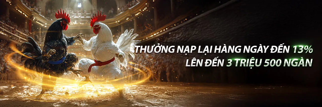 Tin tức mới nhất về thomo999 code